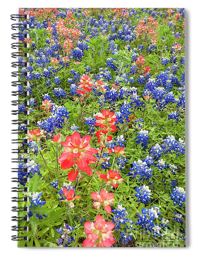 Dave Welling Spiral Notebook featuring the photograph Field Of Bluebonnets And Indian Paintbrush Texas Hill Country by Dave Welling