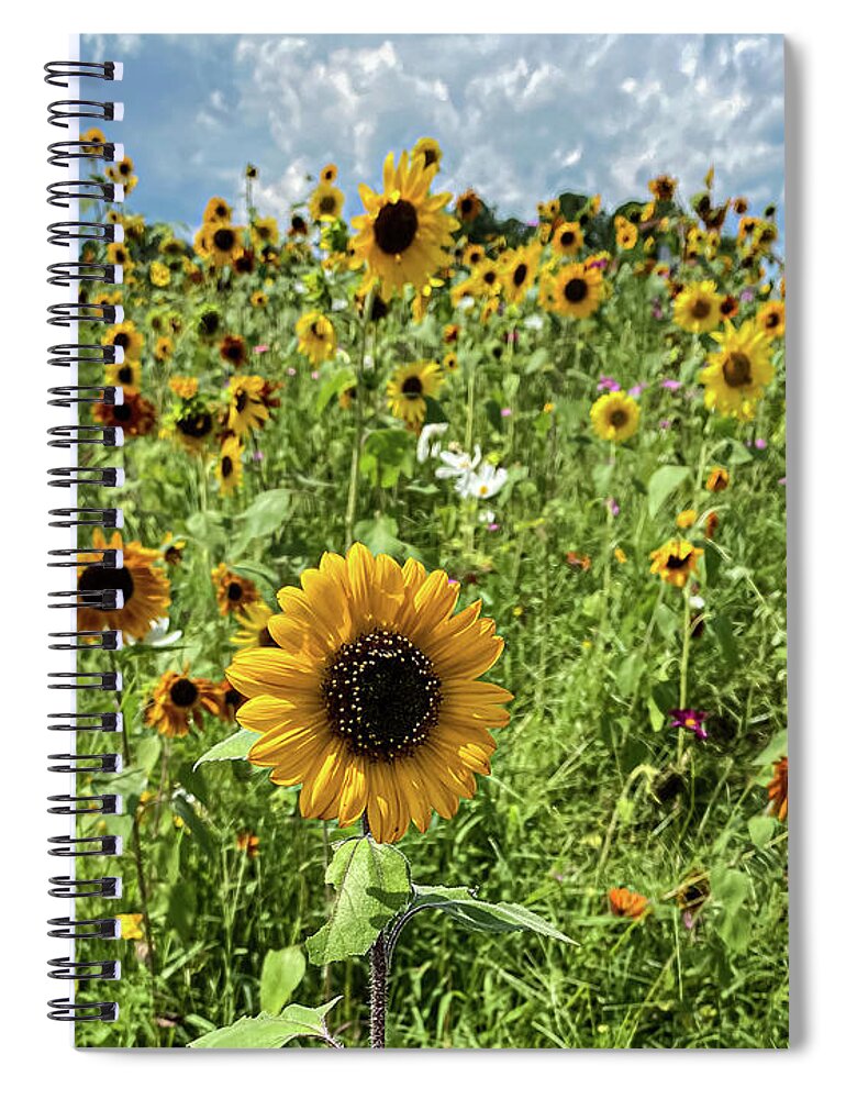 Field Of Flowers Spiral Notebook featuring the photograph Field of Flowers by Rick Nelson