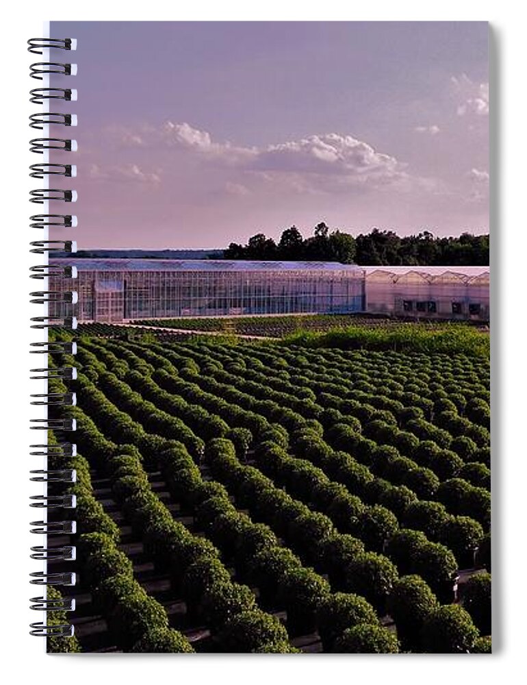 - Field Of Mums - Timbuk Farms Oh Spiral Notebook featuring the photograph - Field of Mums - Timbuk Farms OH by THERESA Nye