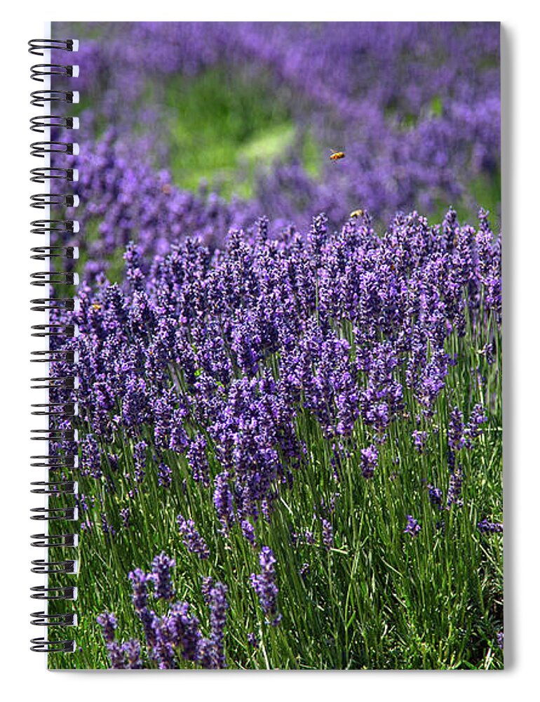 Purple Spiral Notebook featuring the photograph Field of Purple Flowers by Dart Humeston