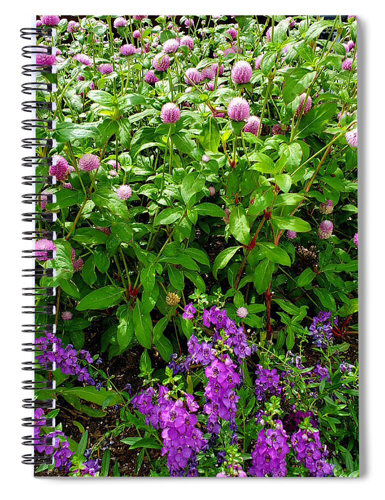 Field Of Purple Flowers Spiral Notebook featuring the photograph Field of Purple Flowers by Kenny Glover