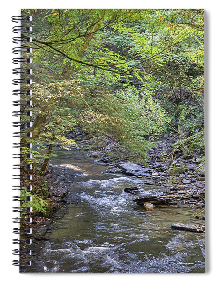 Water Spiral Notebook featuring the photograph Fillmore Glen 38 by William Norton