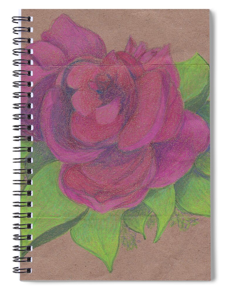 Rose Spiral Notebook featuring the drawing Finding the Extraordinary by Anne Katzeff