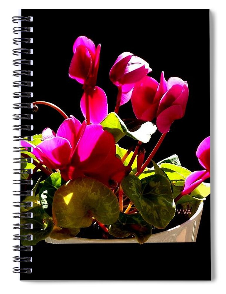 Light Spiral Notebook featuring the photograph Finding The Light by VIVA Anderson