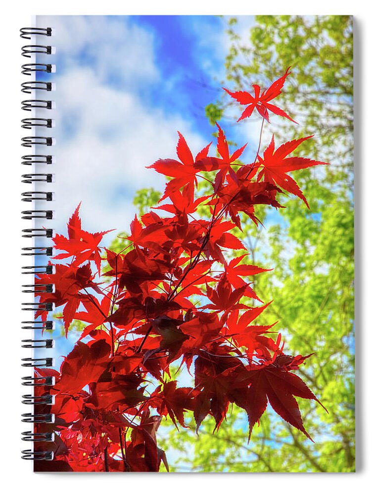 Leaf Spiral Notebook featuring the photograph Fire Red Maple by Loyd Towe Photography