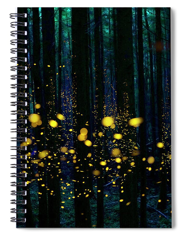 00562030 Spiral Notebook featuring the photograph Fireflies in the Night Forest by Hiroya Minakuchi
