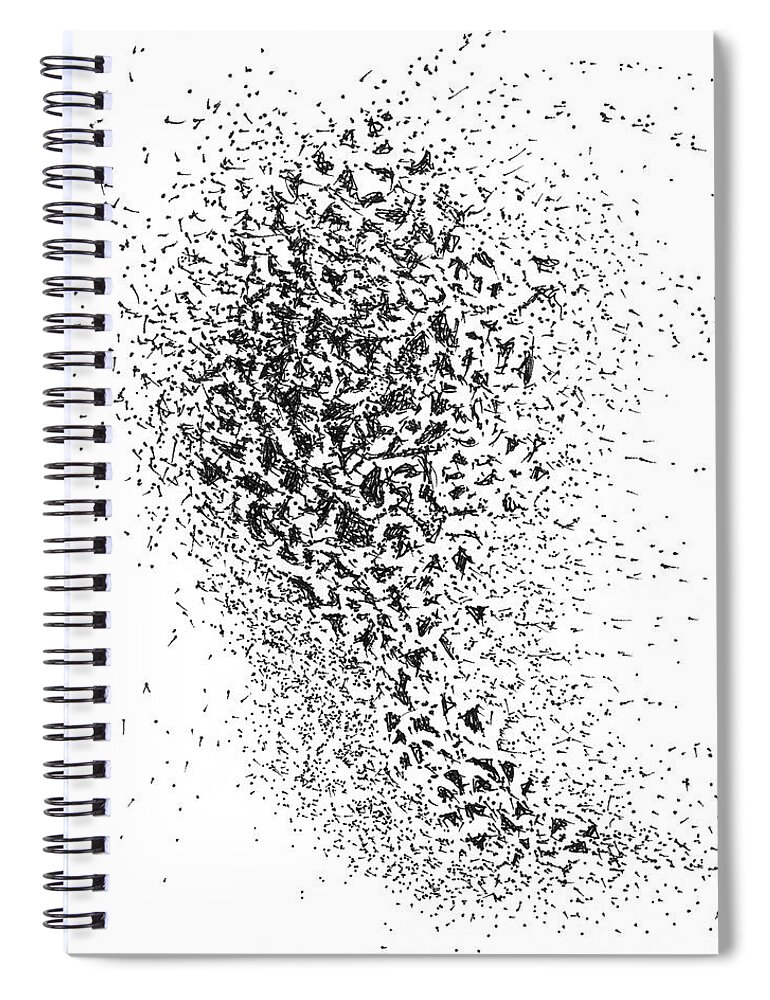 Joy Spiral Notebook featuring the drawing Fireworks Too by Franci Hepburn