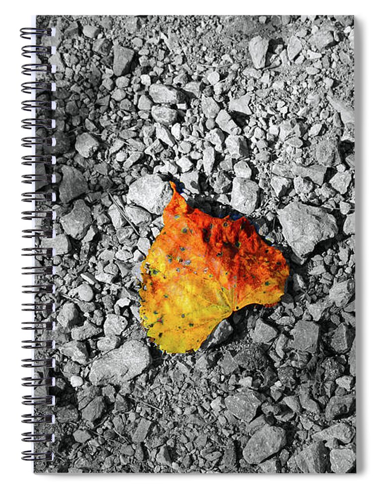 Leaf Spiral Notebook featuring the photograph First Leaf of Autumn by Christopher Reed