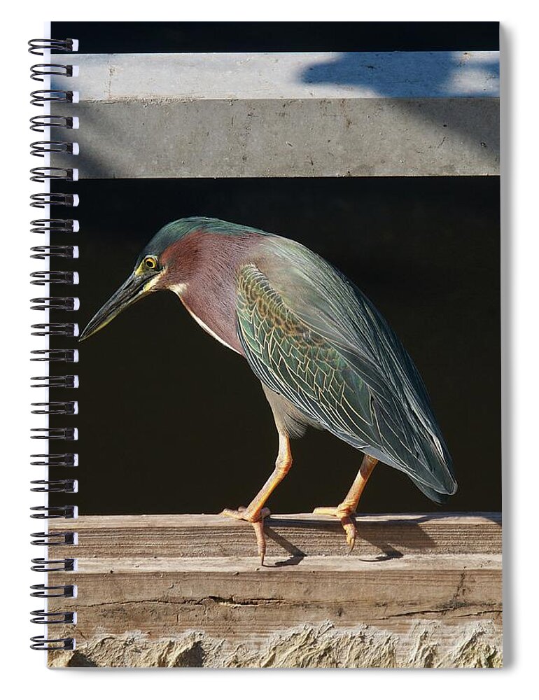 Florida Spiral Notebook featuring the photograph Fishing Time by Melissa Southern