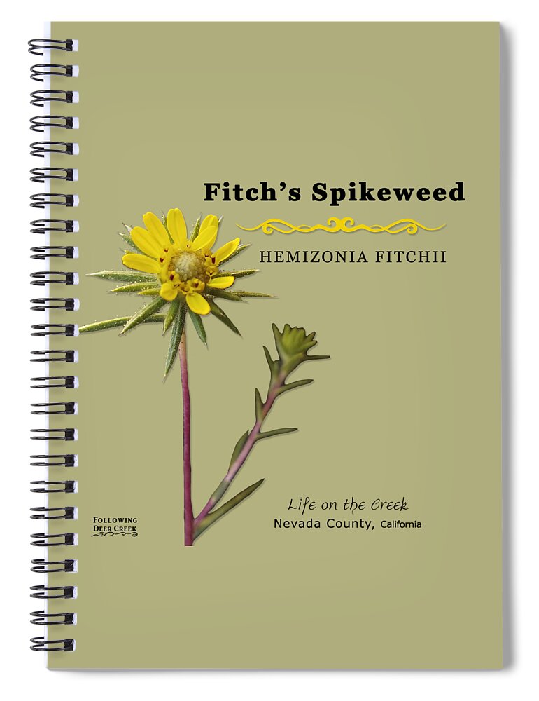 Fitch's Spikeweed Spiral Notebook featuring the digital art Fitch's Spikeweed Hemizonia Fitchi by Lisa Redfern
