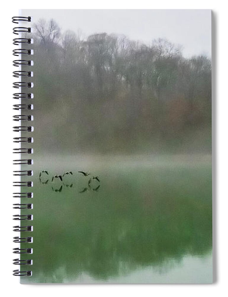 Landscape Spiral Notebook featuring the photograph Five Geese by Theresa D Williams