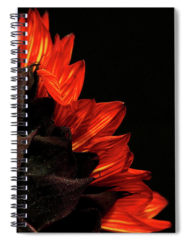 Sunflower Spiral Notebook featuring the photograph Flames by Judy Vincent