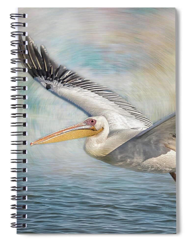 Great White Pelican Spiral Notebook featuring the photograph Flight of a Great White Pelican by Belinda Greb