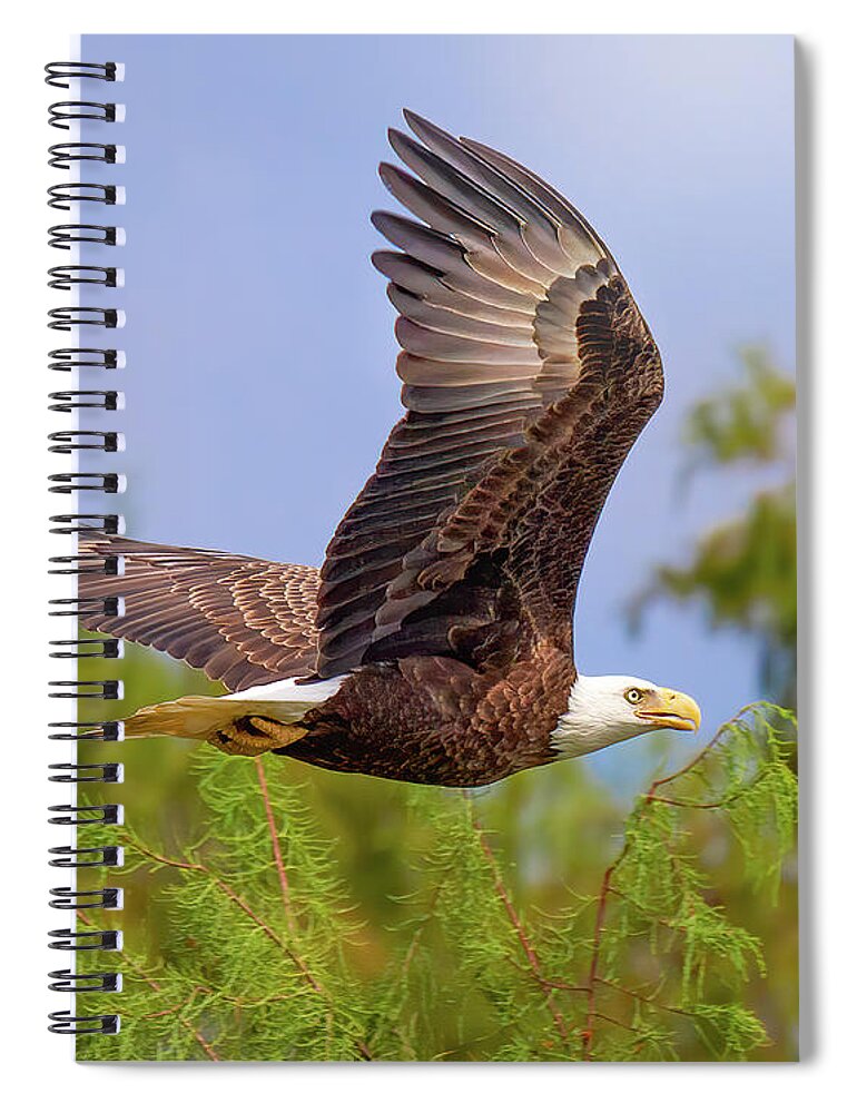 Eagle Spiral Notebook featuring the photograph Flight of the Bald Eagle by Mark Andrew Thomas