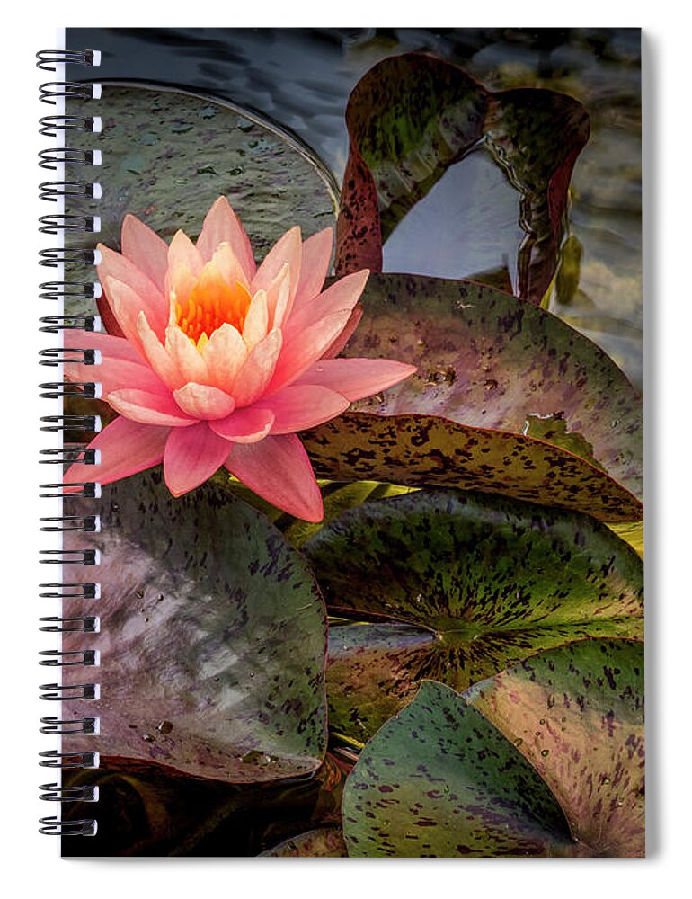 Floral Spiral Notebook featuring the photograph Floating Above. by Usha Peddamatham