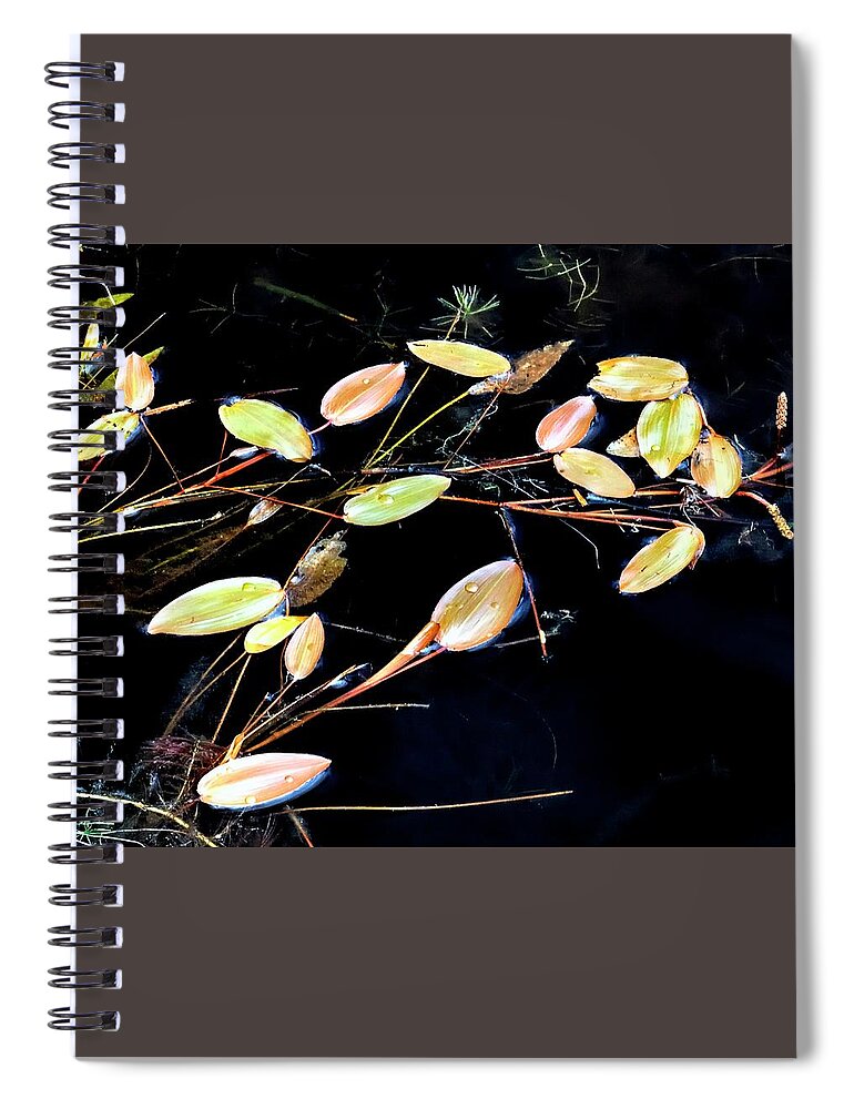 Nature Spiral Notebook featuring the photograph Floating Branches and Leaves 2 by Jerry Sodorff