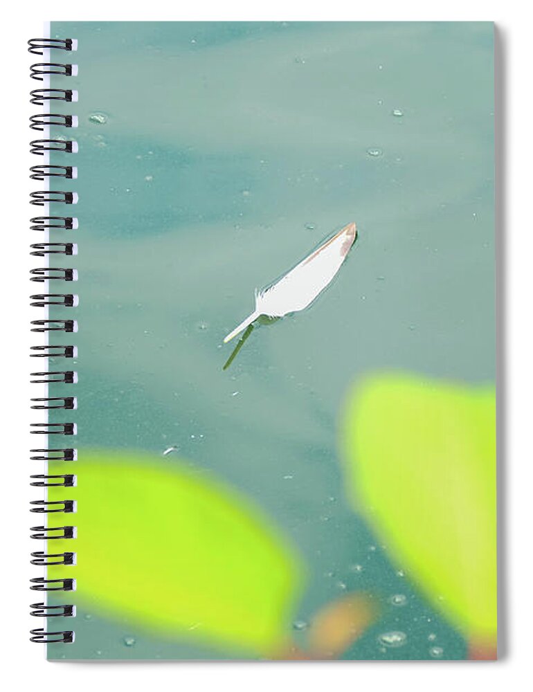 Feather Spiral Notebook featuring the photograph Floating feather by Bentley Davis