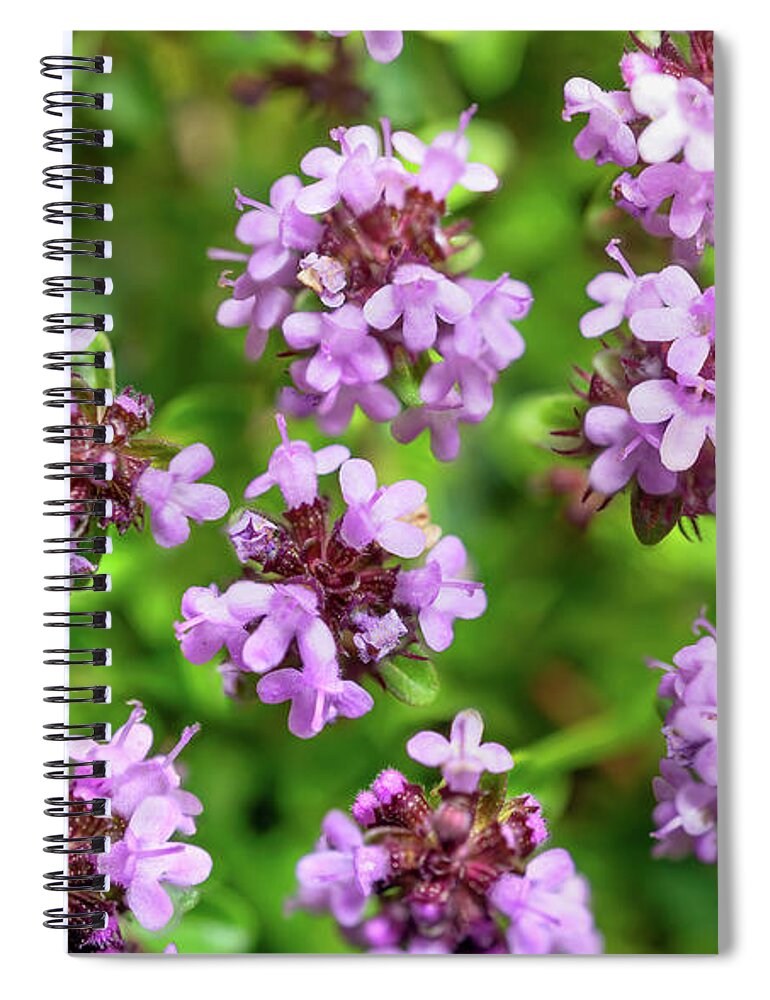 Thyme Spiral Notebook featuring the photograph Floating Thyme by Weston Westmoreland