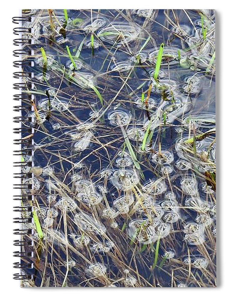 Grasses And Weeds Submerged Spiral Notebook featuring the photograph Flood puddles by Nicola Finch