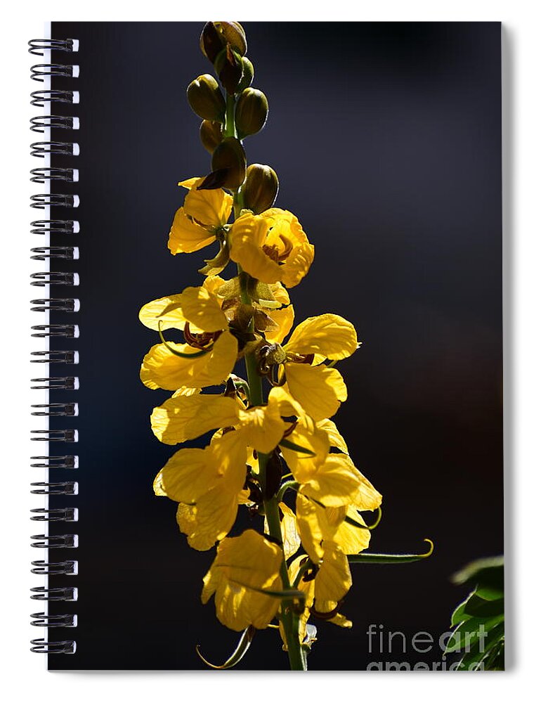 Flower Spiral Notebook featuring the digital art Flor Senna by Yenni Harrison