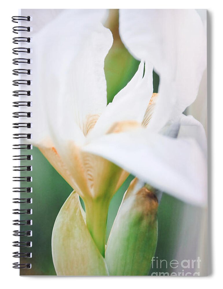 Iris Spiral Notebook featuring the photograph Floral 47 by Andrea Anderegg