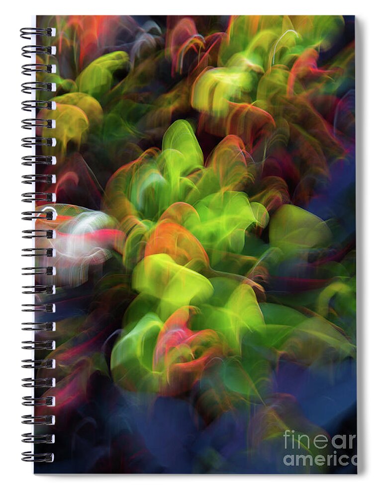 Colors Spiral Notebook featuring the photograph Floral Rainbow by Neala McCarten