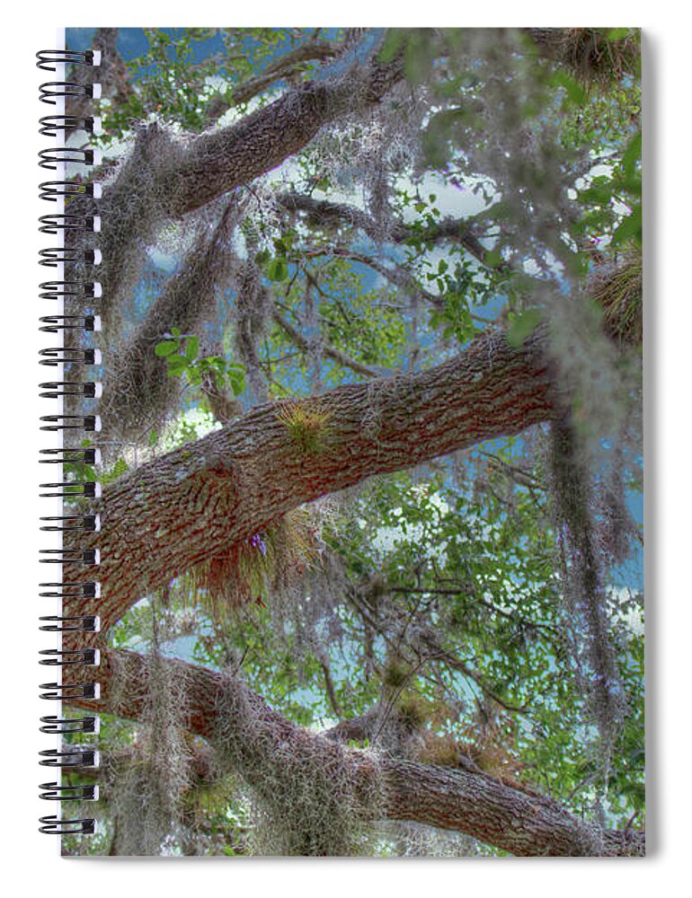Florida Spiral Notebook featuring the photograph Florida Woods by Richard Goldman