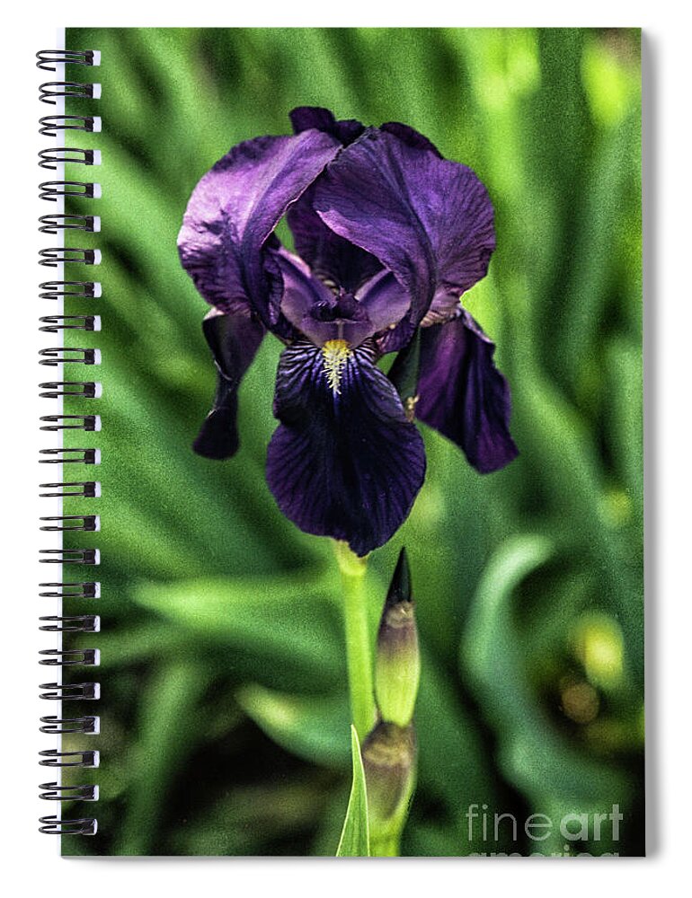 Arizona Spiral Notebook featuring the photograph Flower and Bud by Kathy McClure