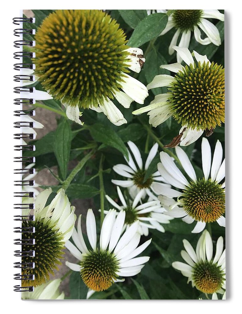 Flowers Spiral Notebook featuring the photograph Flower balls by Jean Wolfrum