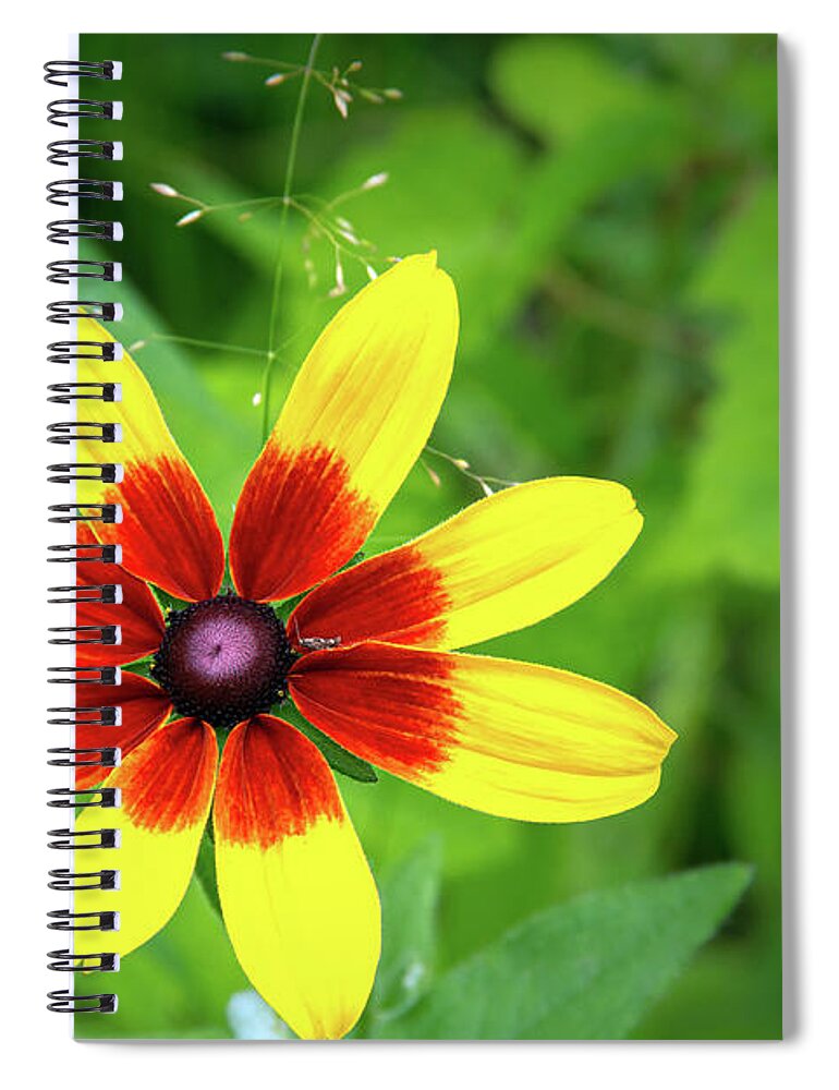 Flower Spiral Notebook featuring the photograph Flower by the Mailbox by Robert Carter