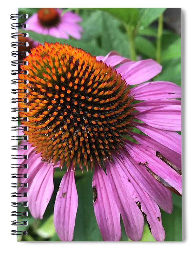 Flowers Spiral Notebook featuring the photograph Flower Cones by Jean Wolfrum