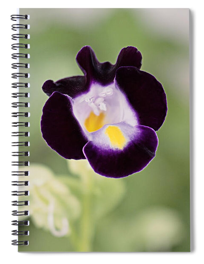 Flower Spiral Notebook featuring the photograph Flower by Ella Kaye Dickey