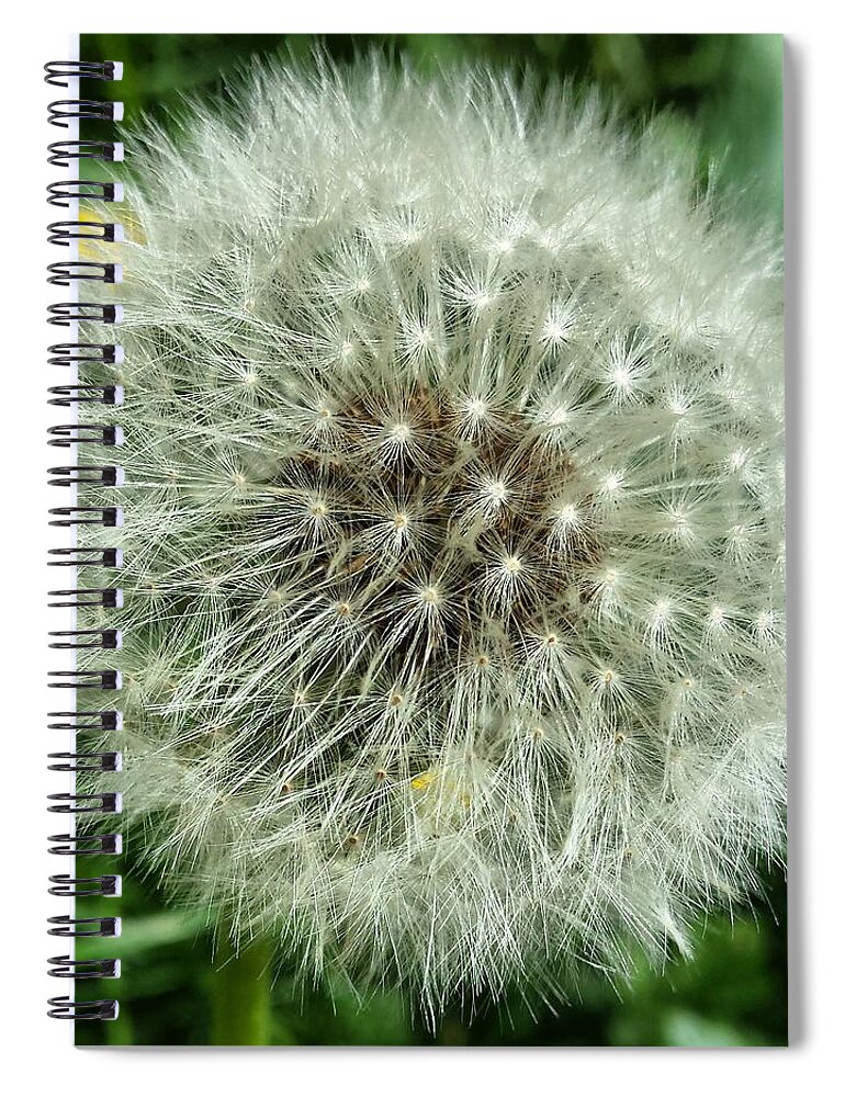 Flower Spiral Notebook featuring the photograph Flower by Joelle Philibert