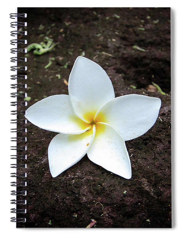 Flower Spiral Notebook featuring the photograph Flower on Lava Rock by Craig A Walker