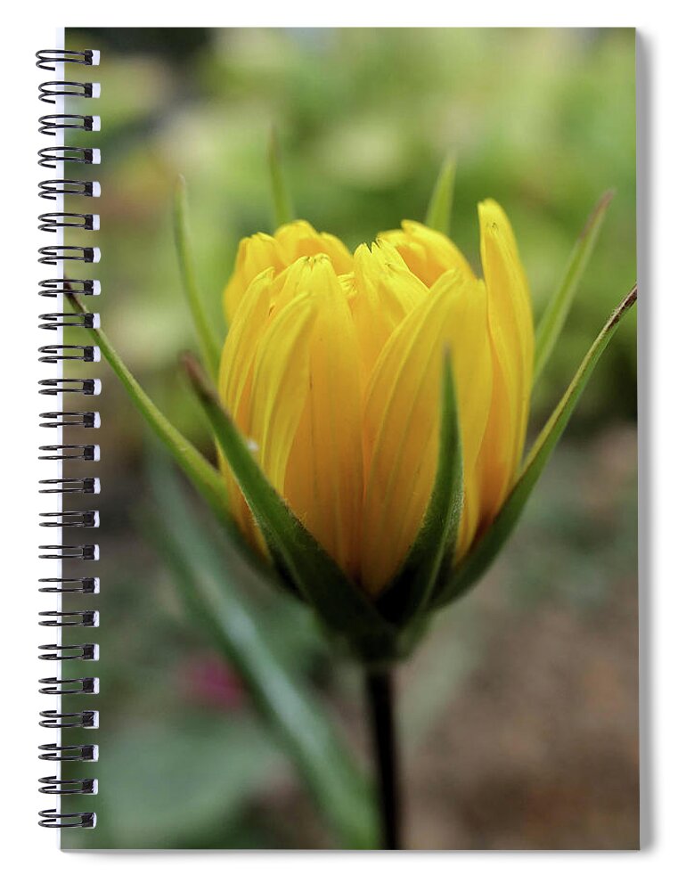 Flower Spiral Notebook featuring the digital art Flower by Pal Szeplaky