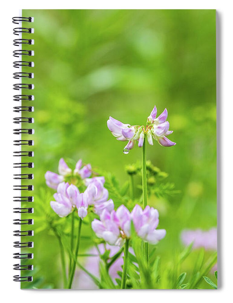 Flower Spiral Notebook featuring the photograph Flower Photography - Spring Field by Amelia Pearn
