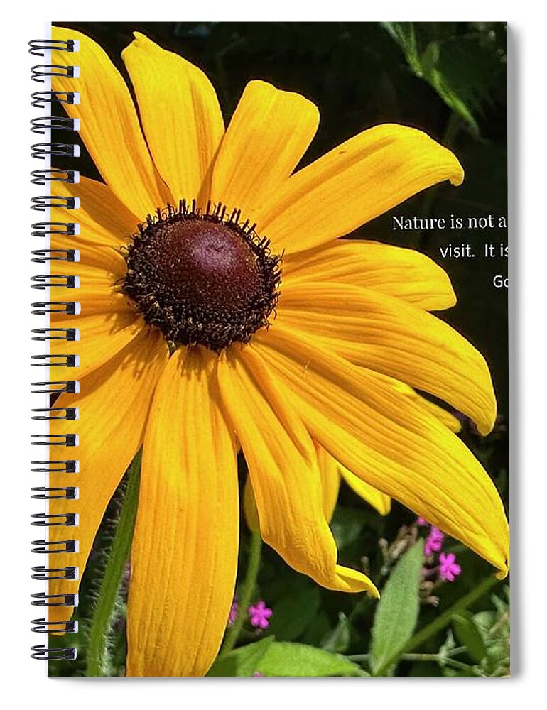 Flowering Tree Spiral Notebook featuring the photograph Hibiscus Flower Power by Catherine Wilson