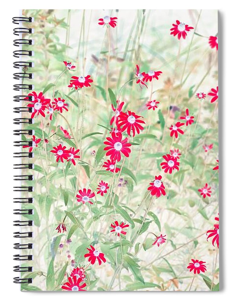 Flowers Spiral Notebook featuring the photograph Pops of Red Daisies by Missy Joy