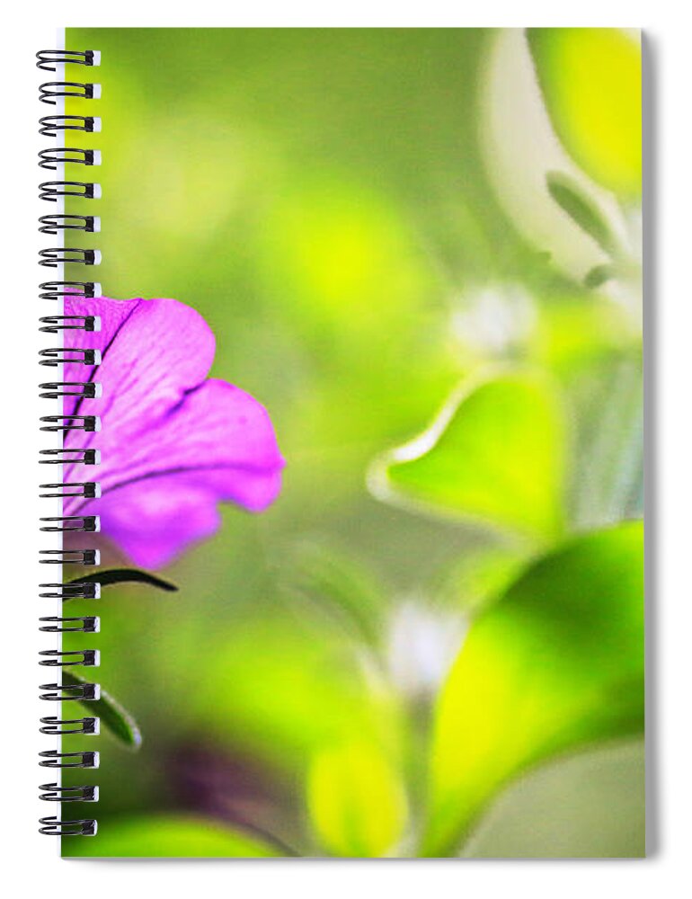 Purple Spiral Notebook featuring the photograph Flower Through Sunlight by Carol Jorgensen
