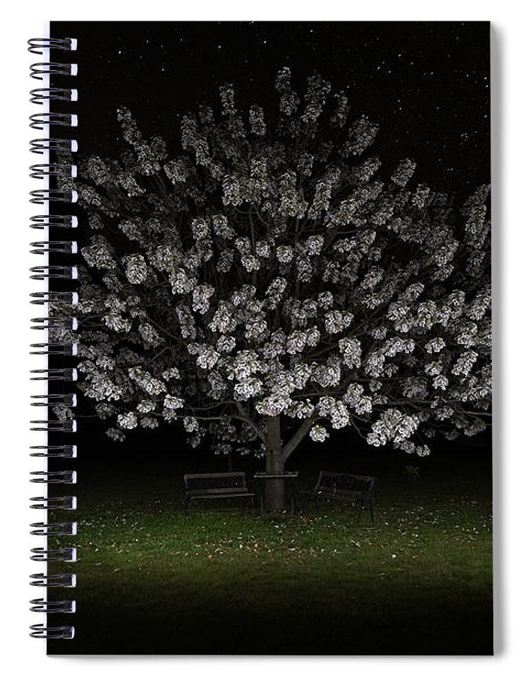 Flowers Spiral Notebook featuring the photograph Flowers by Starlight by Linda Lees