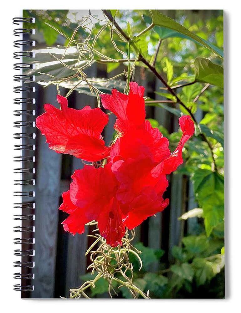 Flowers St Augustine Florida Usa John Anderson Spiral Notebook featuring the photograph Flowers by John Anderson