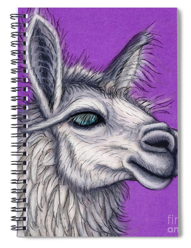 Llama Spiral Notebook featuring the painting Fluffy White Llama by Amy E Fraser