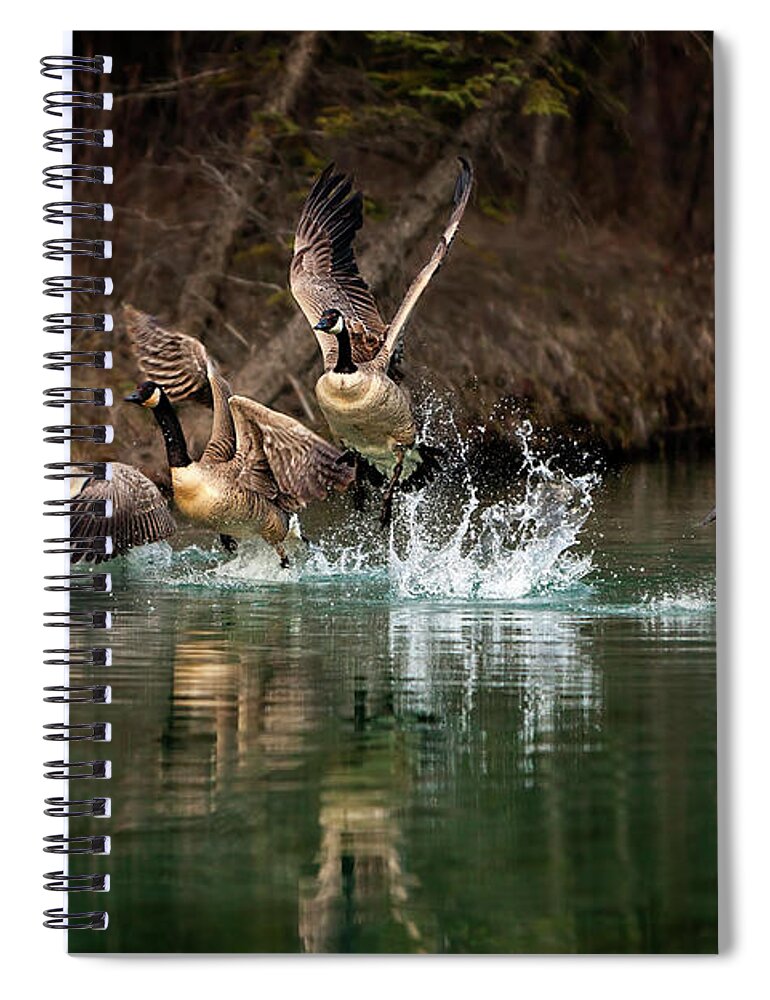 Canada Spiral Notebook featuring the photograph Fly Away Home by Gary Johnson