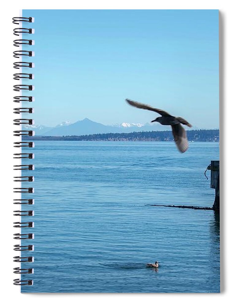 Port Townsend Spiral Notebook featuring the photograph Flyover Port Townsend Bay by Cathy Anderson