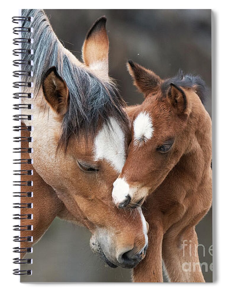 Mom & Baby Spiral Notebook featuring the photograph A Foal's Love by Shannon Hastings