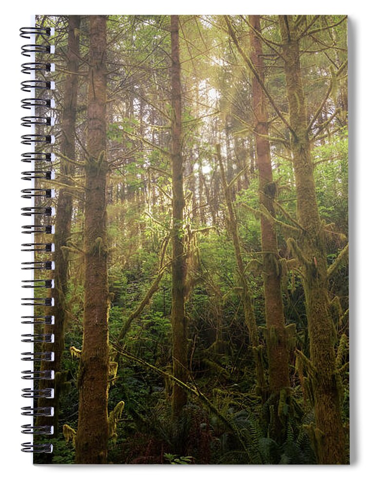 Fall Spiral Notebook featuring the photograph Fog Light by Bill Posner