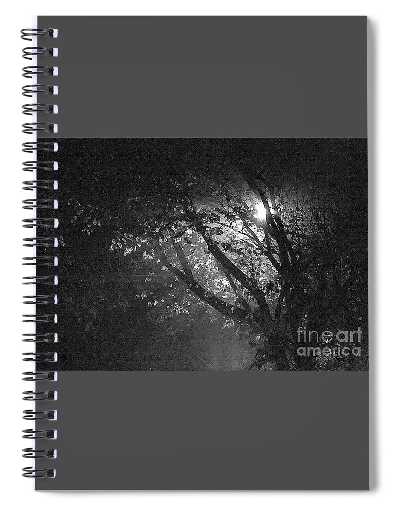 Fog Spiral Notebook featuring the photograph Foggy Tree by Kimberly Furey