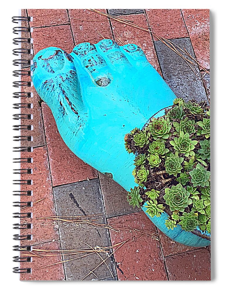 Cactus Spiral Notebook featuring the photograph Footlong Cactus by Lee Darnell