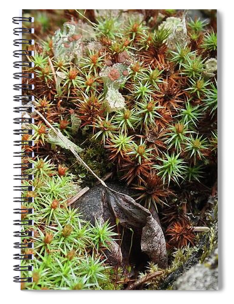 Lichen Spiral Notebook featuring the photograph Forest beauty by Nicola Finch