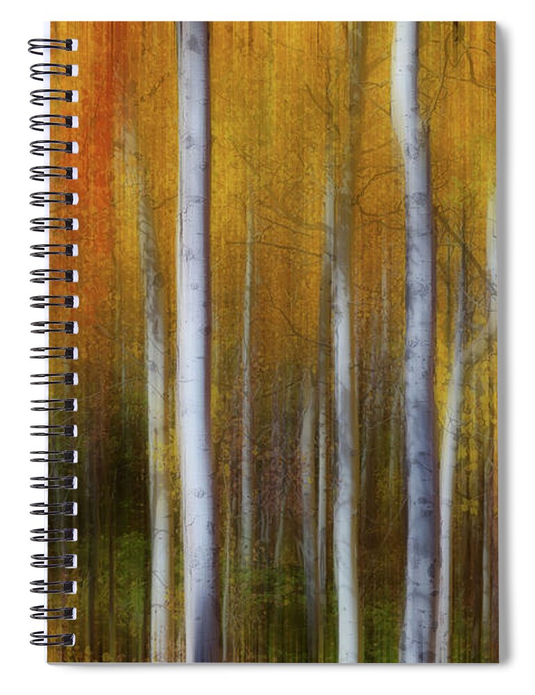 Sunny Spiral Notebook featuring the photograph Forest Color Burst Modern Abstract by James BO Insogna